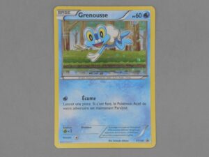 Pokemon Grenousse - Holographique - Base - Promo XY138 - 2016