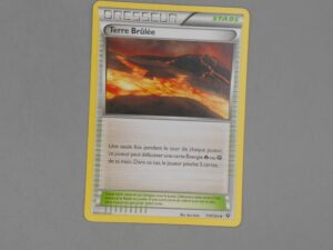 Pokemon Stade Terre Brûlée - 110/124 Losange - 2016