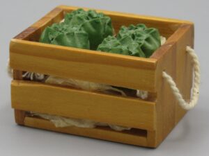 Caisse de salades - Maison de poupée