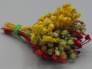 Bouquet de fleurs séchées - Maison de poupée
