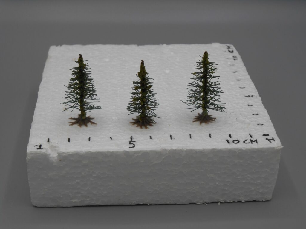 Lot de 3 sapins 3-4 cm