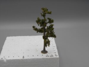 Arbre sur pied 10 cm