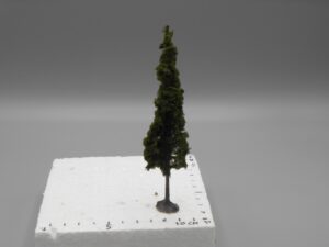 Arbre peuplier sur pied 13.5 cm