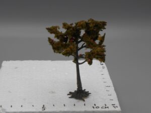 Arbre pommier sur pied 8 à 8.5 cm