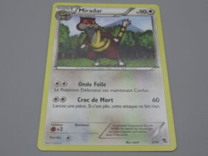 Pokemon Miradar - Niveau 1 - 2/30 - 2011