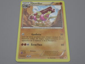 Pokemon Ouvrifier - Niveau 1 - 14/30 - 2011