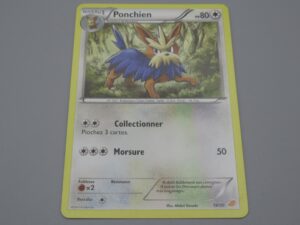 Pokemon Ponchien - Niveau 1 - 19/30 - 2011