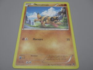 Pokemon Mascaïman - Base - 60/98 Rond - 2011
