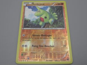 Pokemon Embrylex - Reverse - Base - 41/124 Rond - 2016