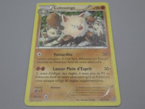Pokemon Colossinge - Niv. 1 - 53/114 Etoile - 2016