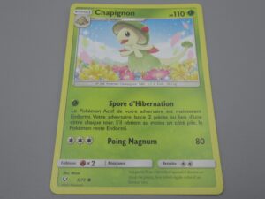 Pokemon Chapignon - Niveau 1 - 5/73 Rond - 2017