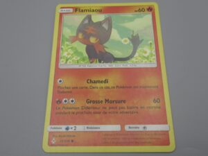 Pokemon Flamiaou - Base - 27/214 Rond - 2019