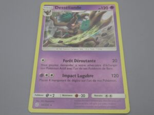 Pokemon Desséliande - Niveau 1 - 94/236 Etoile - 2019