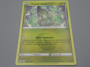 Pokemon Coupenotte - Base - 110/172 Rond - 2022