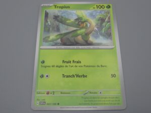 Pokemon Tropius - Base - 007/198 Rond - 2023