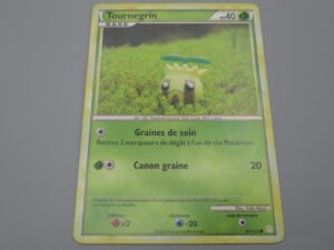 Pokemon Tournegrin - Base - 85/123 Rond - 2010