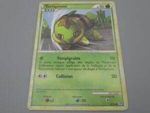 Pokemon Tortipouss - Base - 67/95 Rond - 2010