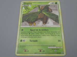 Pokemon Tropius - Base - 66/95 Rond - 2010