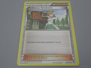 Pokemon Supporter Professeur Keteleeria - 84/101 Losange - 2013