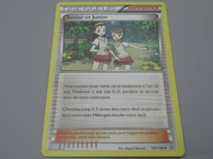 Pokemon Supporter Senior et Junior - 141/160 Losange - 2015