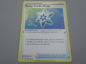 Pokemon Objet Feuille Neige - 159/203 Losange - 2021