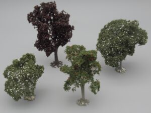 4 arbres variés de hauteur 9 à 14 cm