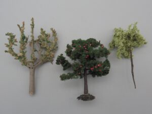 3 arbres variés 8 à 11 cm