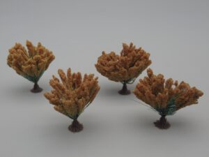 4 plantes à plumeaux marron clair 4 cm