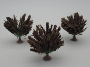 3 plantes à plumeaux marron foncé 4.5 cm