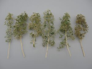 6 arbres en zeeschuim 12-18 cm