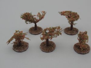 5 arbustes sur pied 2.5 cm