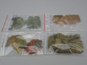 4 sachets de lichens à dominante marron et vert