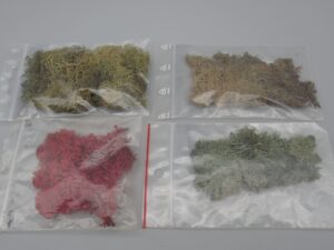 4 sachets de lichens à dominante rouge et vert