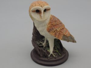 Oiseaux - La chouette effraie