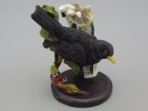 Oiseaux - Le merle