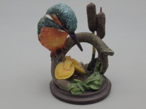 Oiseaux - Le martin-pêcheur