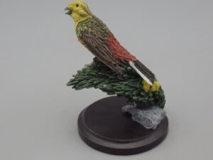 Oiseaux - Le bruant jaune