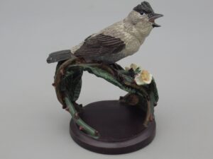 Oiseaux - La fauvette à tête noire