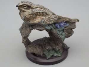 Oiseaux - L'engoulevent d'Europe